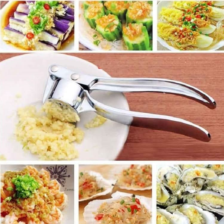 Kitchen Handheld Stainless Steel Ginger Garlic Crusher Garlic Puree Machine - Reluova