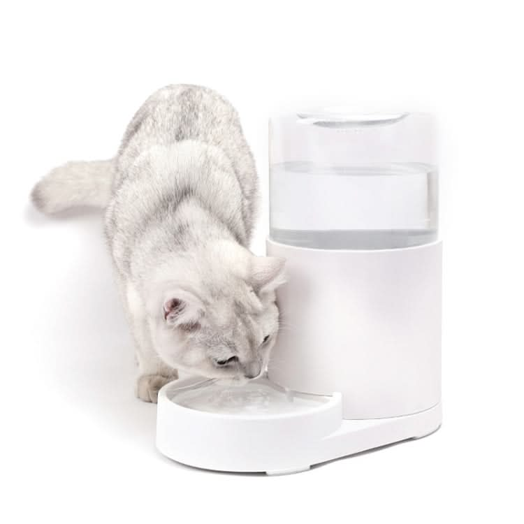 Cat Automatic Water Dispenser Drinking Water Bowl Dog Feeder - Reluova