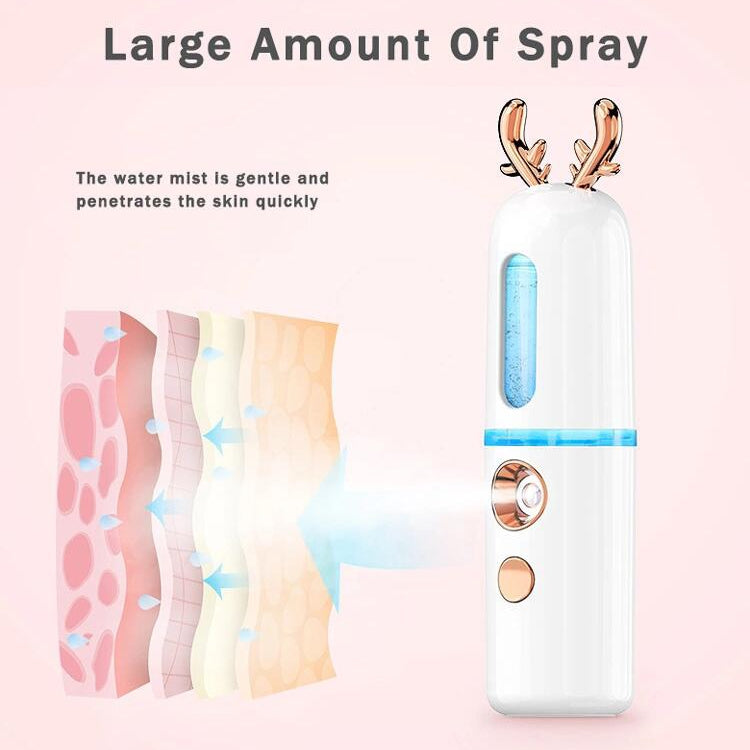 Facial Steamer Nano Spray Water Replenishing Instrument Portable Cold Spray Machine Charging Beauty Instrument Alcohol Disinfection Reluova