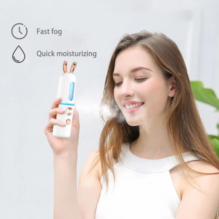 Facial Steamer Nano Spray Water Replenishing Instrument Portable Cold Spray Machine Charging Beauty Instrument Alcohol Disinfection Reluova