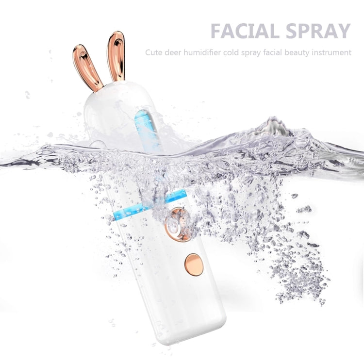 Facial Steamer Nano Spray Water Replenishing Instrument Portable Cold Spray Machine Charging Beauty Instrument Alcohol Disinfection Reluova