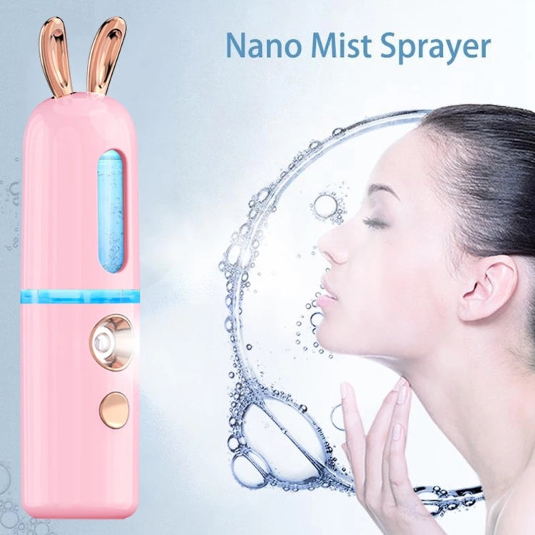 Facial Steamer Nano Spray Water Replenishing Instrument Portable Cold Spray Machine Charging Beauty Instrument Alcohol Disinfection Reluova