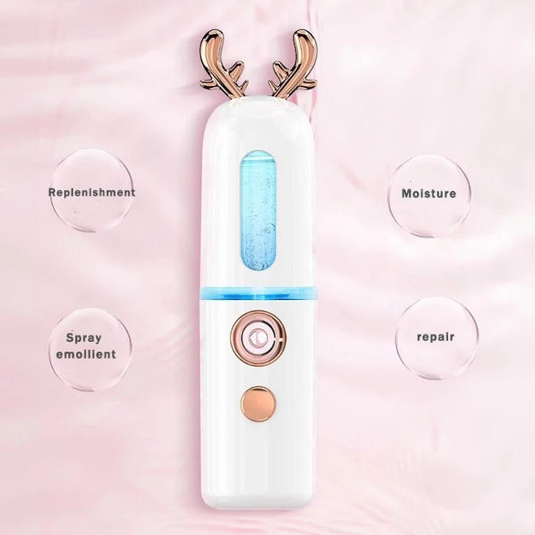 Facial Steamer Nano Spray Water Replenishing Instrument Portable Cold Spray Machine Charging Beauty Instrument Alcohol Disinfection Reluova