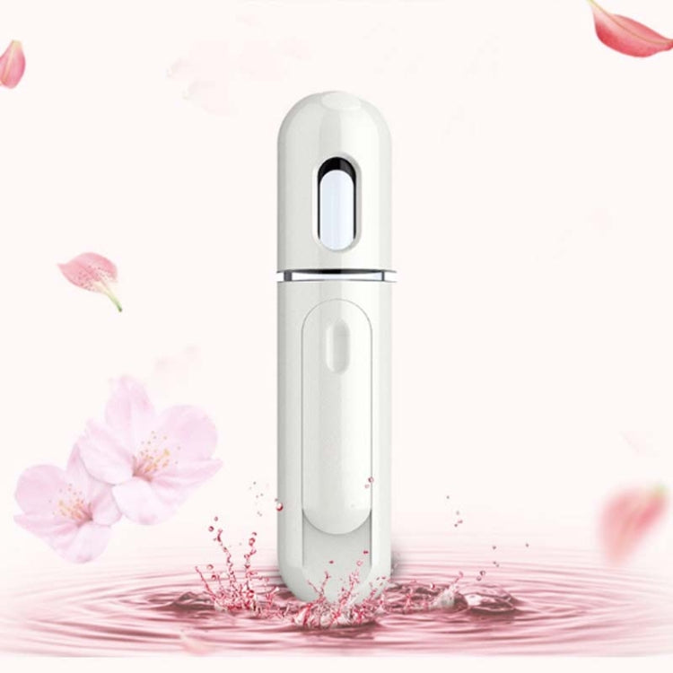 Nano Spray Water Hydration Beauty Facial Instrument Portable Handheld USB Charging Air Humidifier Alcohol Disinfection Spayer My Store