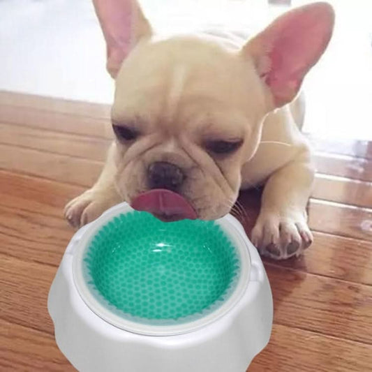 Pet Cooling Speed Cold Bowl Food Bowl - Reluova