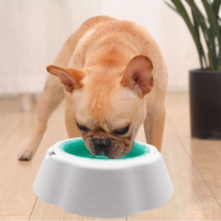 Pet Cooling Speed Cold Bowl Food Bowl - Reluova