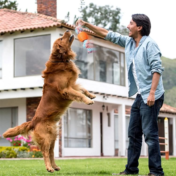 3 PCS Pet Dog Toys Chew Teeth Clean Outdoor Training Fun Playing Rope Ball(Orange)-Reluova