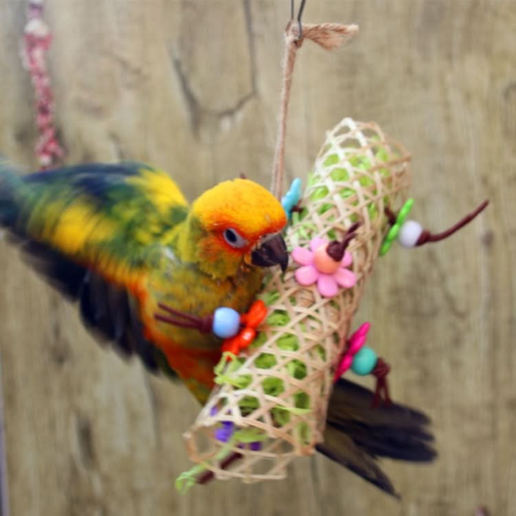 Creative Parrot Bird Bamboo Braided Bite Drawing Toy - Reluova