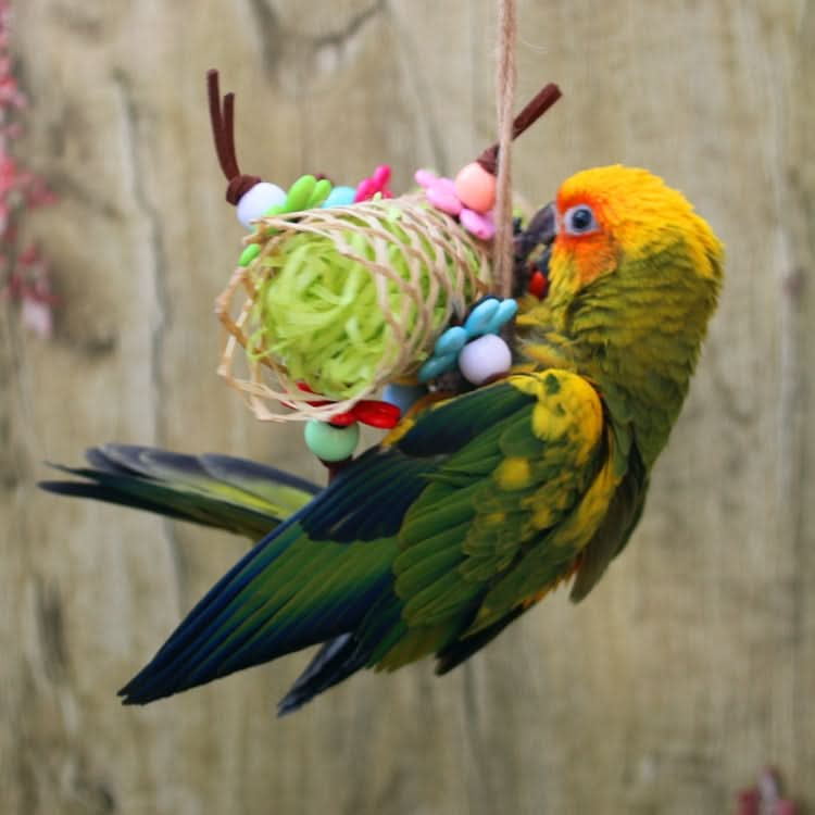 Creative Parrot Bird Bamboo Braided Bite Drawing Toy - Reluova