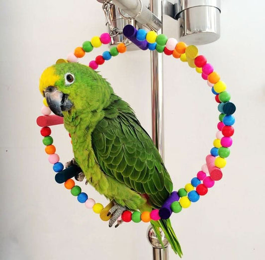 Parrot Bird Arch Climbing Swing Wheel Ring Toy - Reluova