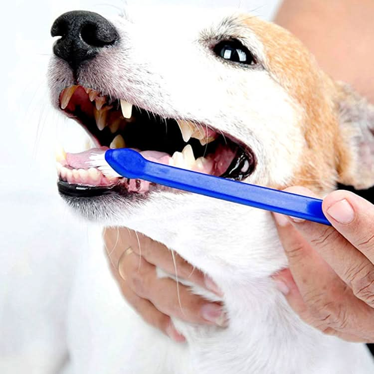 10pcs Dog Cat Effective Pets Oral Care Pet Toothbrush, Specification:Blue Handle + Medium Hair(Blue)-Reluova