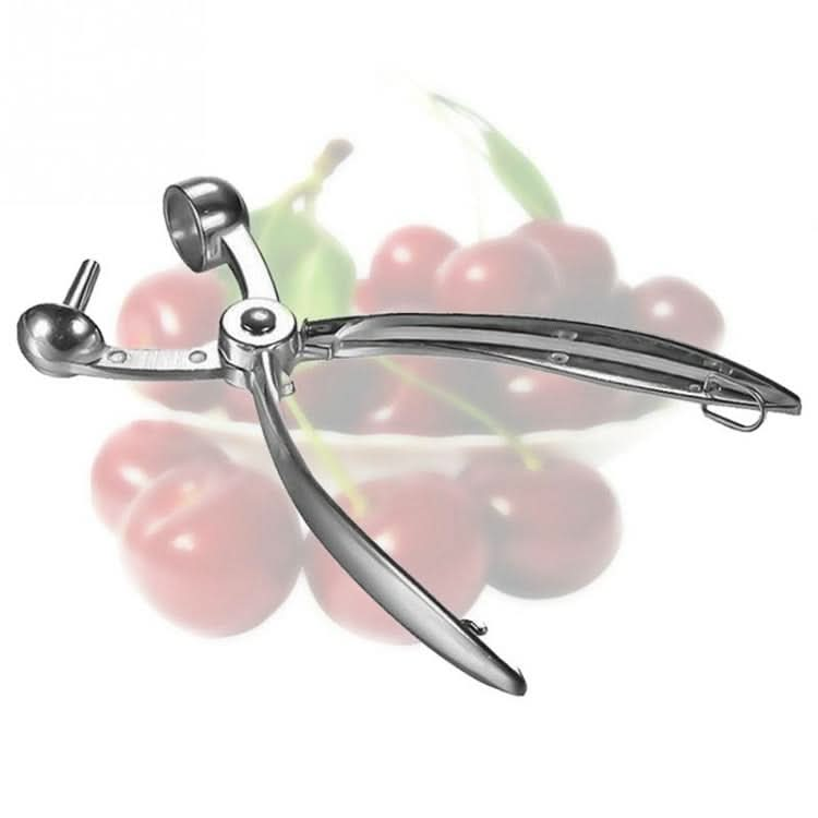 Fruit Stainless Steel Corer Cherry Nucleator - Reluova