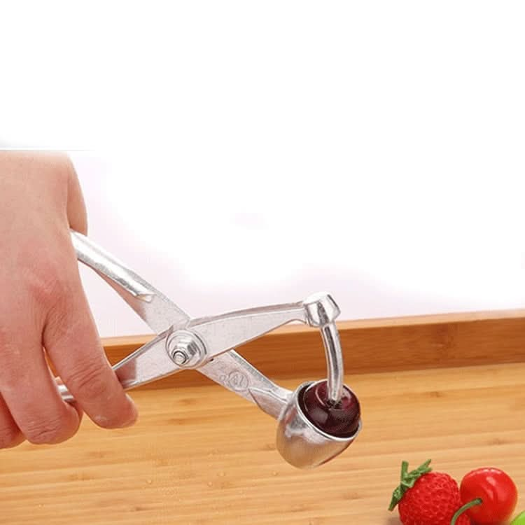 Fruit Stainless Steel Corer Cherry Nucleator - Reluova