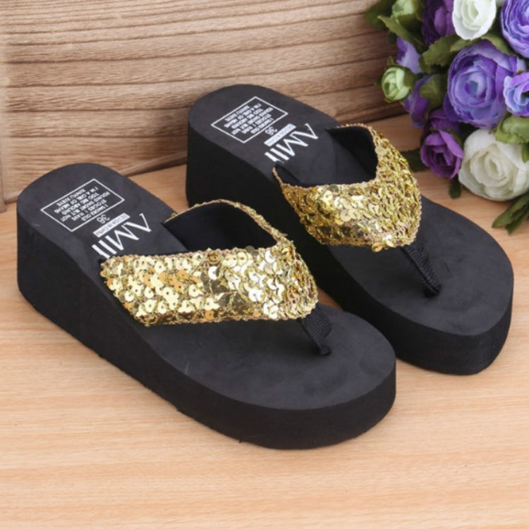 Sequin Slippers Wedge ith Flip Flops, Series 2