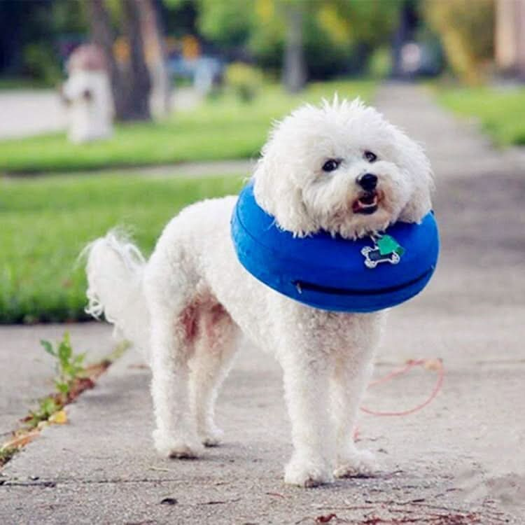 Inflatable Pet Collar Pet Grooming Warm Protective Wound Protection Collar - Reluova