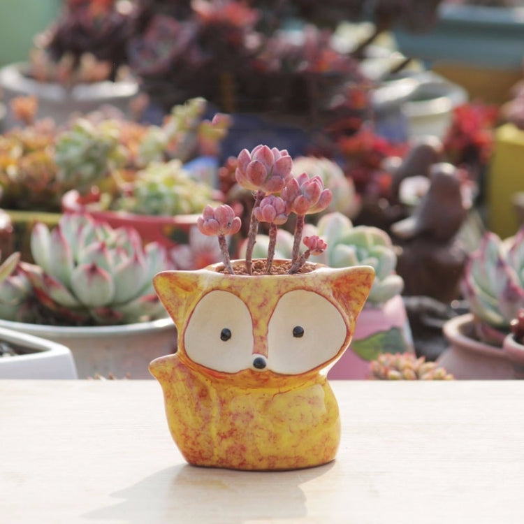 Ceramic Fleshy Flower Pot Succulent Thumb Pot Fox Flower Pot, Random Color Delivery (Without Plants) My Store