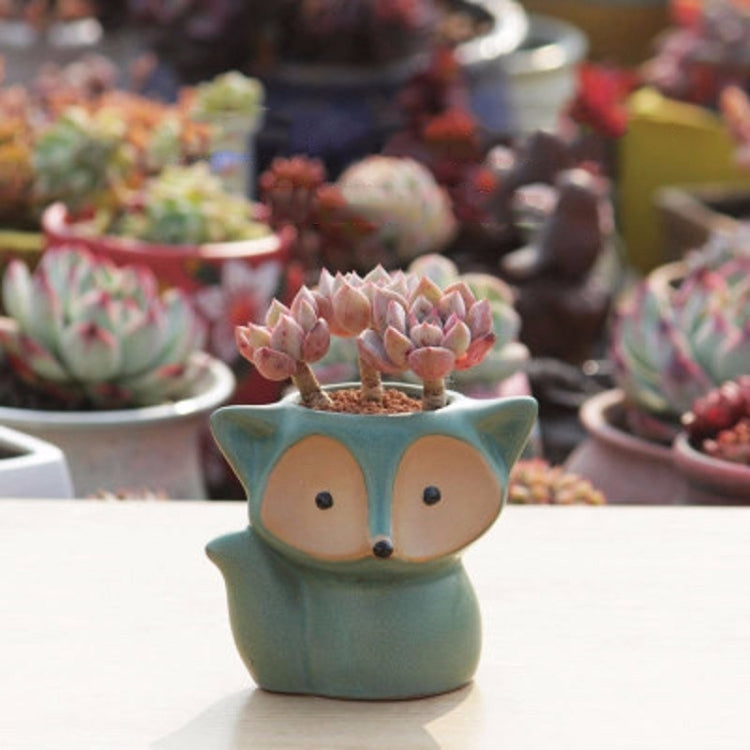 Ceramic Fleshy Flower Pot Succulent Thumb Pot Fox Flower Pot, Random Color Delivery (Without Plants) My Store