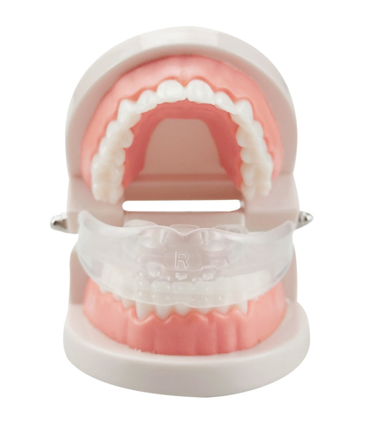 Orthodontic Appliance Silicone Simulation Braces Anti-molar Braces for Night