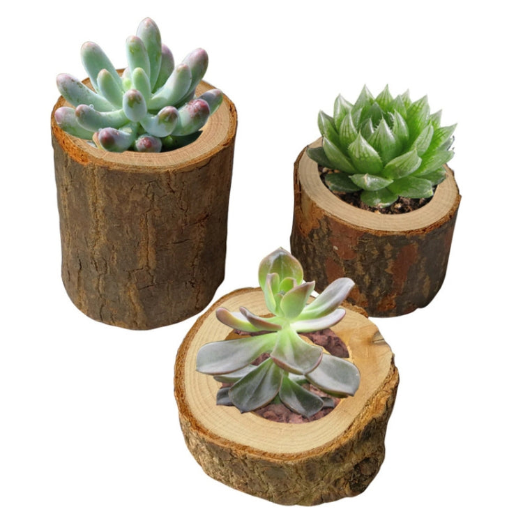 3 PCS Mini Natural Log Round Home Office Garden Decoration Succulent Plant Pot Candle Holder Small Bonsai Home Decoration My Store