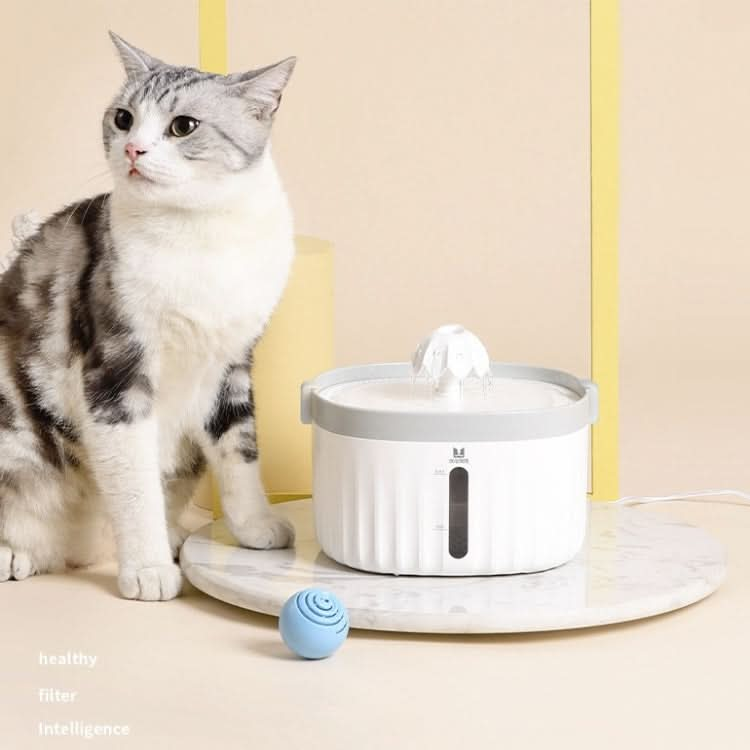 Smart Pet Water Dispenser With Silent Automatic Circulation Pet Water Dispenser - Reluova