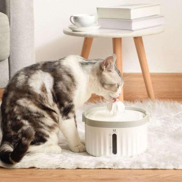 Smart Pet Water Dispenser With Silent Automatic Circulation Pet Water Dispenser - Reluova