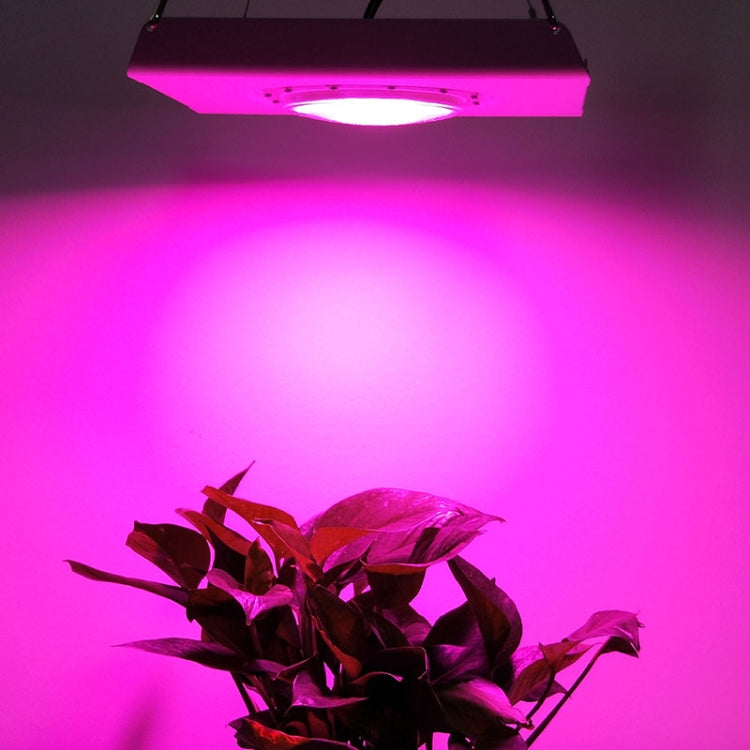 75W Plant Growth Light Ultra-Thin High-Brightness Full-Spectrum COB Indoor Greenhouse Light With Plug My Store