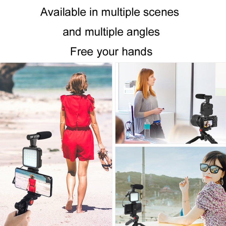 KIT-01LM 3 in 1 Video Shooting LED Light Portable Tripod Live Microphone