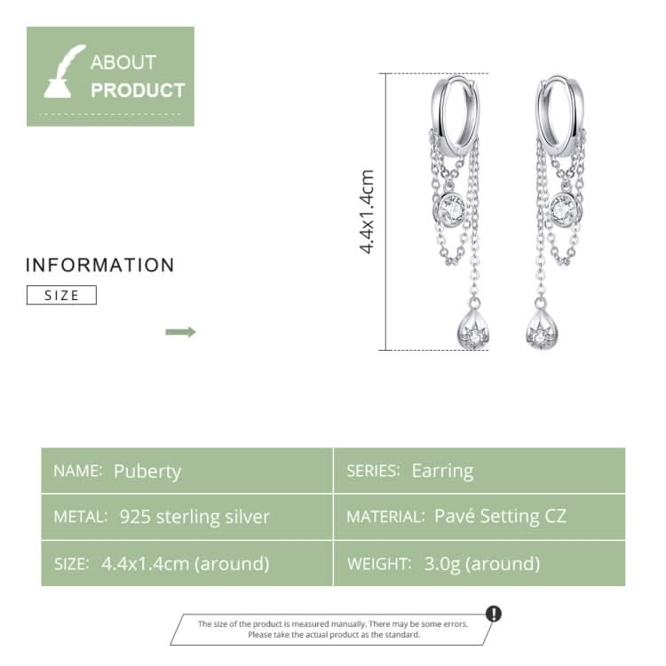 Sterling Silver Earrings Zircon Tassel Long Earrings S925 Girl Earrings jewelry Reluova