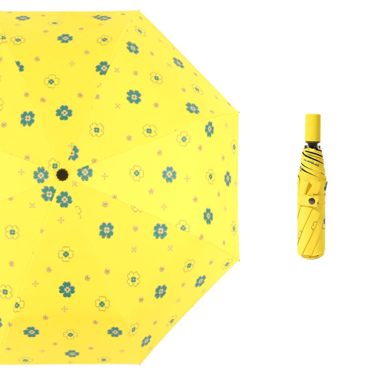 Student Vinyl Sunscreen Small Fresh Umbrella Folding Automatic Umbrella My Store