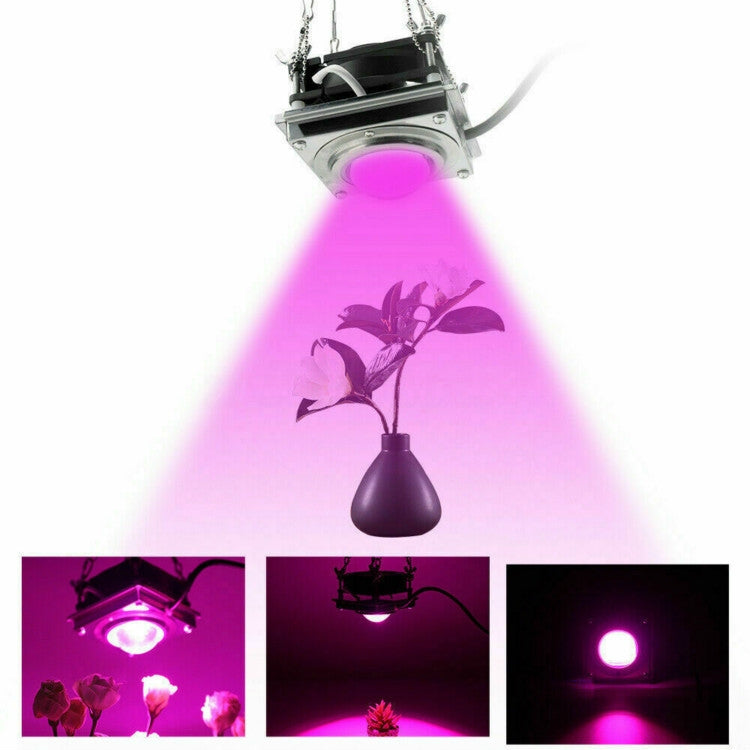 COB Plant Growth Light LED Vegetable Planting Succulent Light My Store