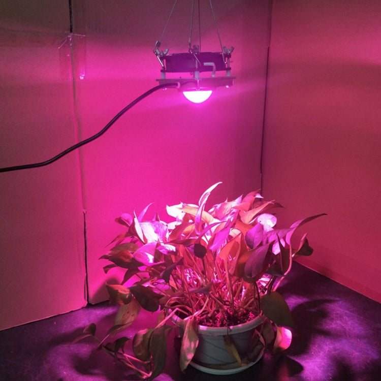 COB Plant Growth Light LED Vegetable Planting Succulent Light My Store