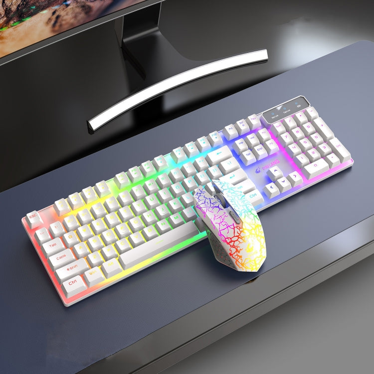 ZIYOULANG T3 Wireless Charging Gaming Lighted Keyboard and Mouse Set My Store