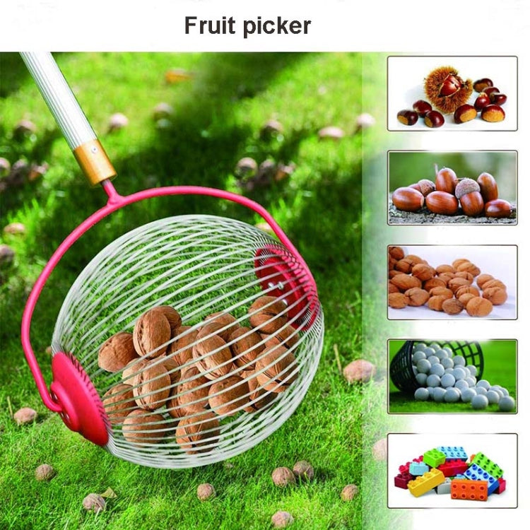 Garden Tools Nut Collector Fruit Picker Picking Walnut Picking Chestnut Picker My Store