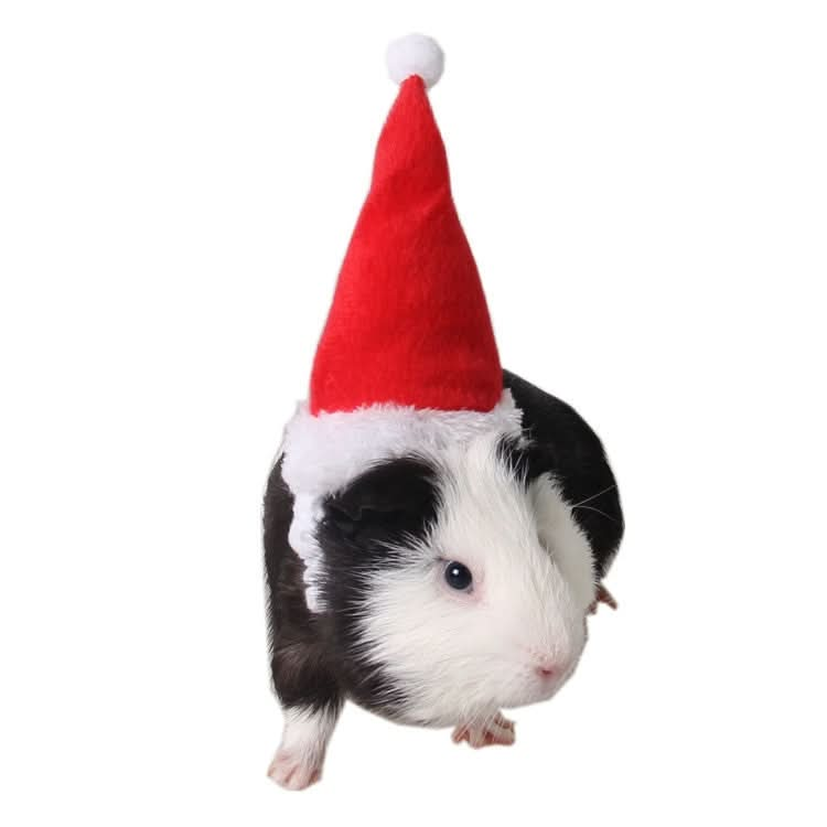 Pet Christmas Hat Flannel Strap Cap - Reluova