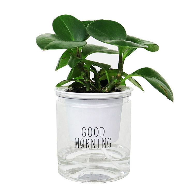 Automatic Water Absorption Hydroponic Pot Succulent Plant Flower Pot My Store