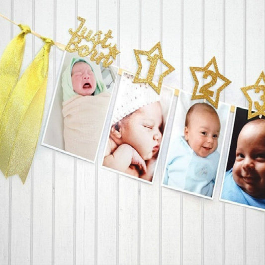 Age Celebration Decoration Background Pentagram Photo Folder 1-12 Months Baby Photo Record Party Banner Pull Flag