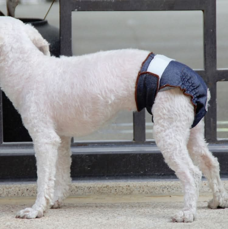 Anti-sorrow Female Dog Physiological Pants Urine-proof And Wet Pet Leak-proof Underwear - Reluova