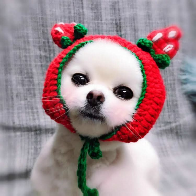 Cute Strawberry Headgear Handmade Knitted Hat Pet Accessories - Reluova