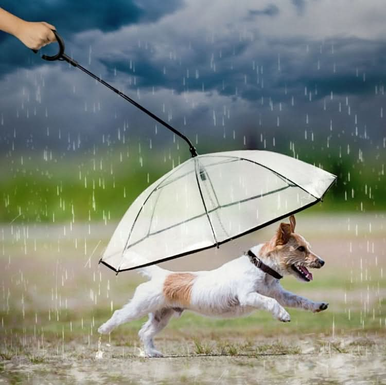 Pet Umbrella Transparent Adjustable Rainy Dog ?Walking Leash - Reluova