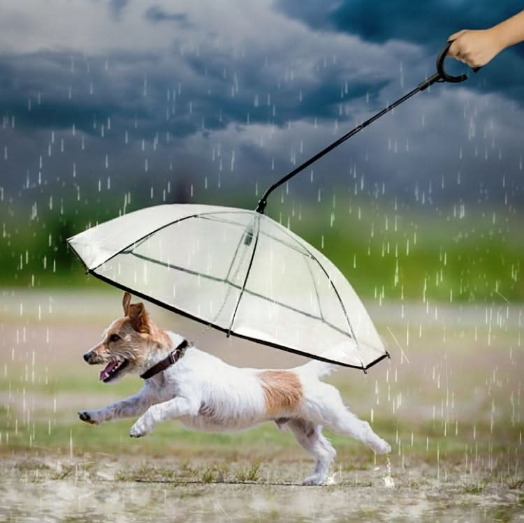 Pet Umbrella Transparent Adjustable Rainy Dog ?Walking Leash - Reluova