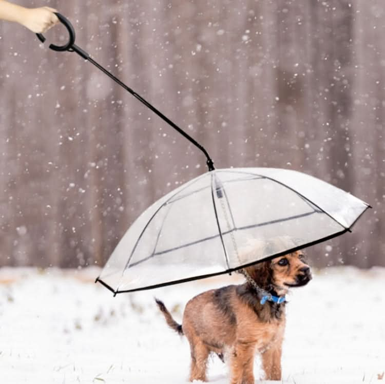 Pet Umbrella Transparent Adjustable Rainy Dog ?Walking Leash - Reluova