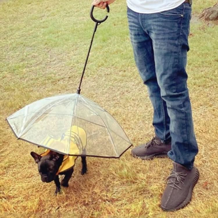 Pet Umbrella Transparent Adjustable Rainy Dog ?Walking Leash - Reluova