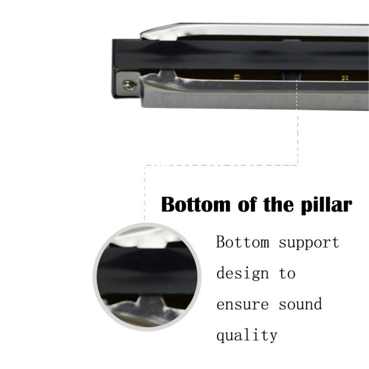 Swan 2 PCS 10 Holes Full-scale Bruce Harmonica Beginner Children Adult Students Playing Musical Instruments Reluova