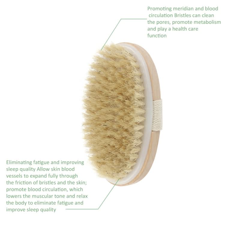 Soft Natural Bristle SPA Brush Without Handle Reluova