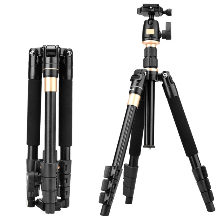 Q555 4-Section Folding Legs Aluminum Alloy Tripod Mount Monopod Holder with Ball Head My Store