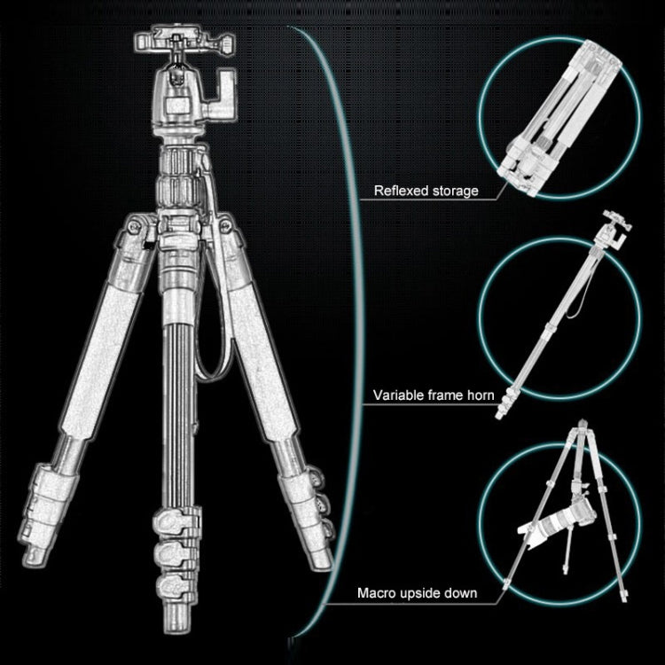 Q555 4-Section Folding Legs Aluminum Alloy Tripod Mount Monopod Holder with Ball Head