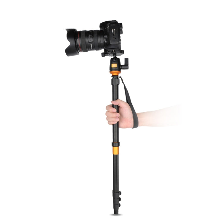 Q555 4-Section Folding Legs Aluminum Alloy Tripod Mount Monopod Holder with Ball Head My Store