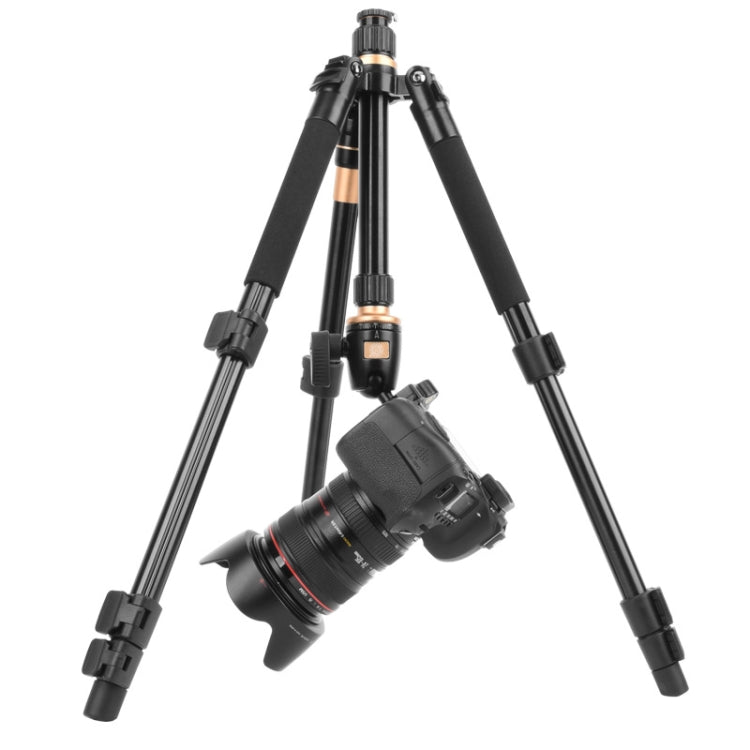 Q555 4-Section Folding Legs Aluminum Alloy Tripod Mount Monopod Holder with Ball Head My Store