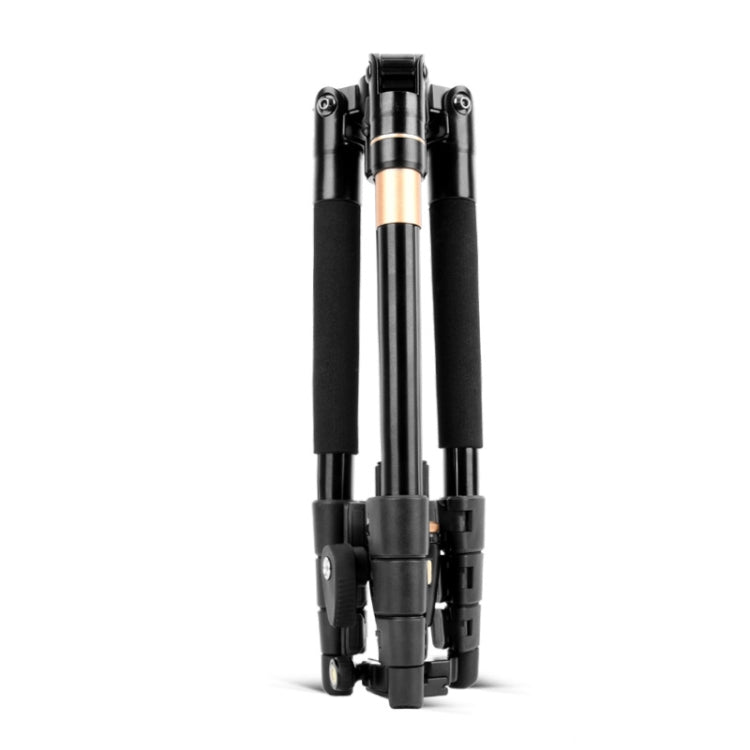 Q555 4-Section Folding Legs Aluminum Alloy Tripod Mount Monopod Holder with Ball Head My Store