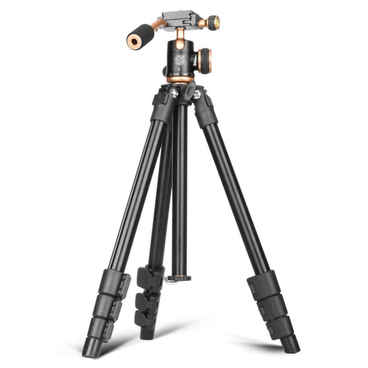 Q160s 4-Section Folding Legs Live Broadcast Aluminum Alloy Tripod Mount with Damping Tripod Ball-Head My Store